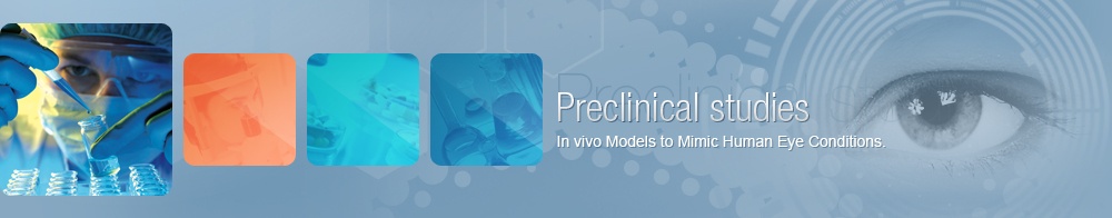 Preclinical Research