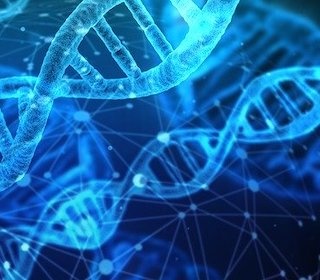 Cellular & Molecular Biology Assays